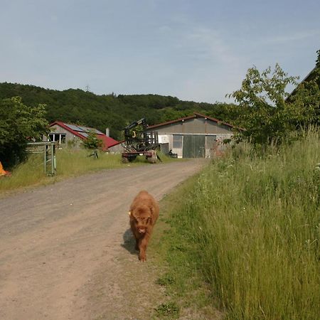 Ferienwohnung Rech Hof Urlaub auf dem Gnadenhof Schalkenbach Exterior foto