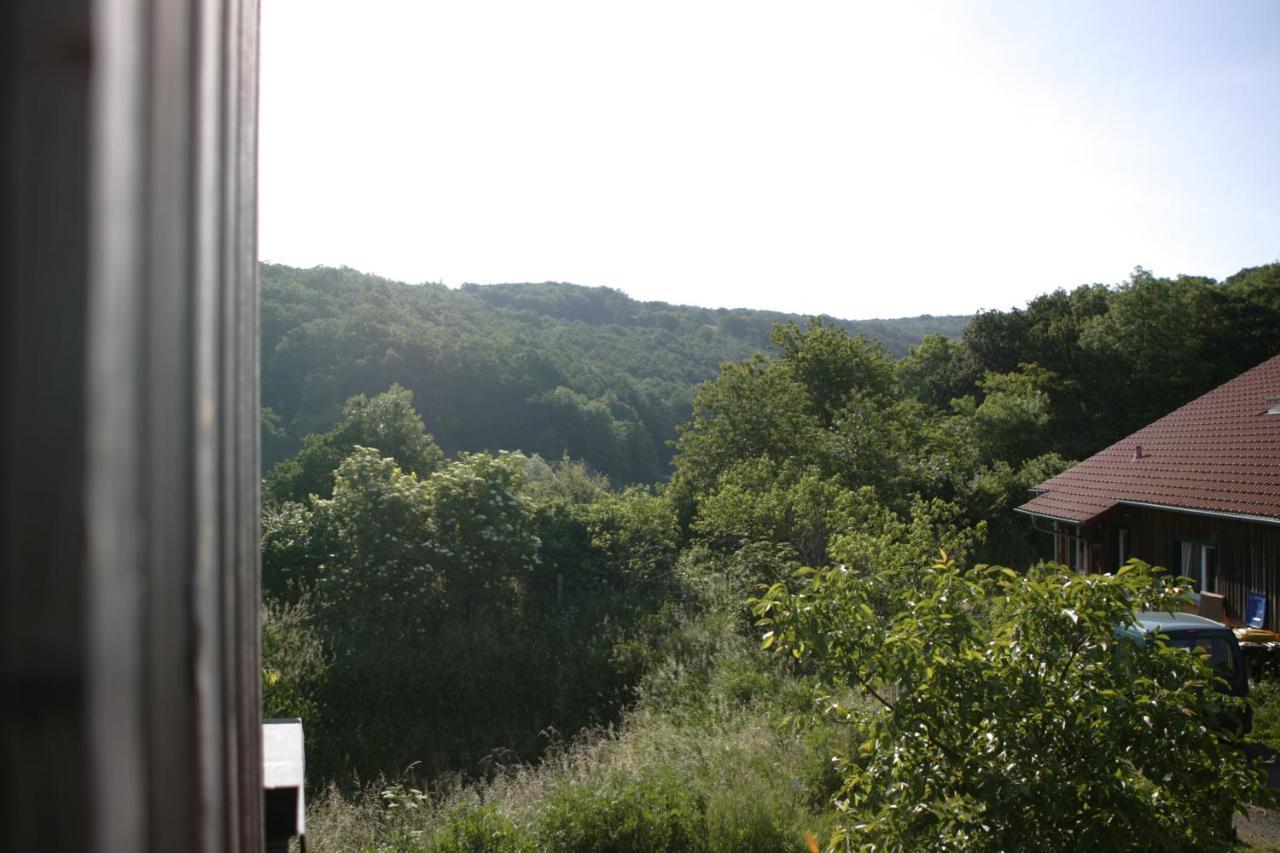 Ferienwohnung Rech Hof Urlaub auf dem Gnadenhof Schalkenbach Exterior foto
