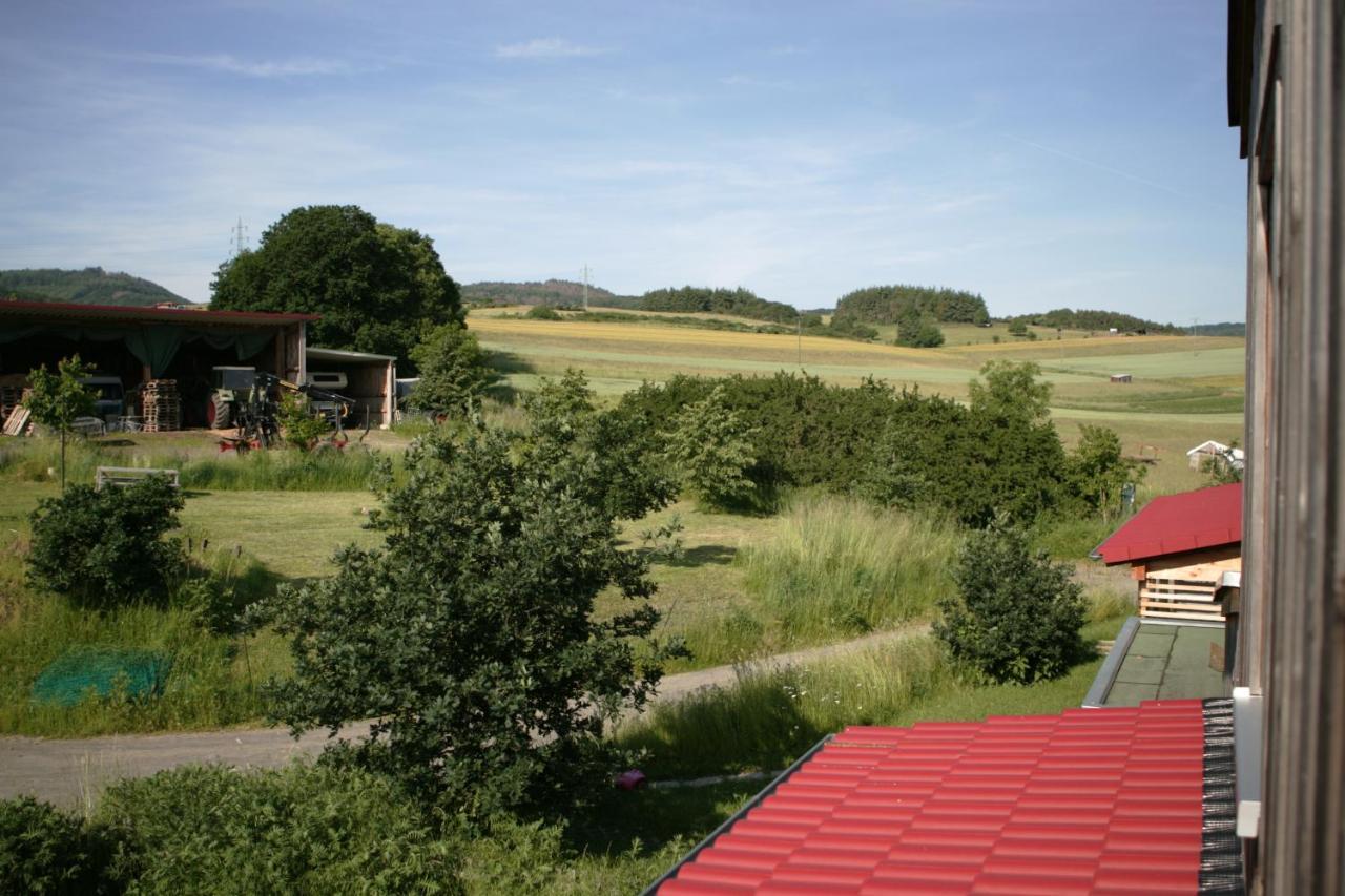 Ferienwohnung Rech Hof Urlaub auf dem Gnadenhof Schalkenbach Exterior foto