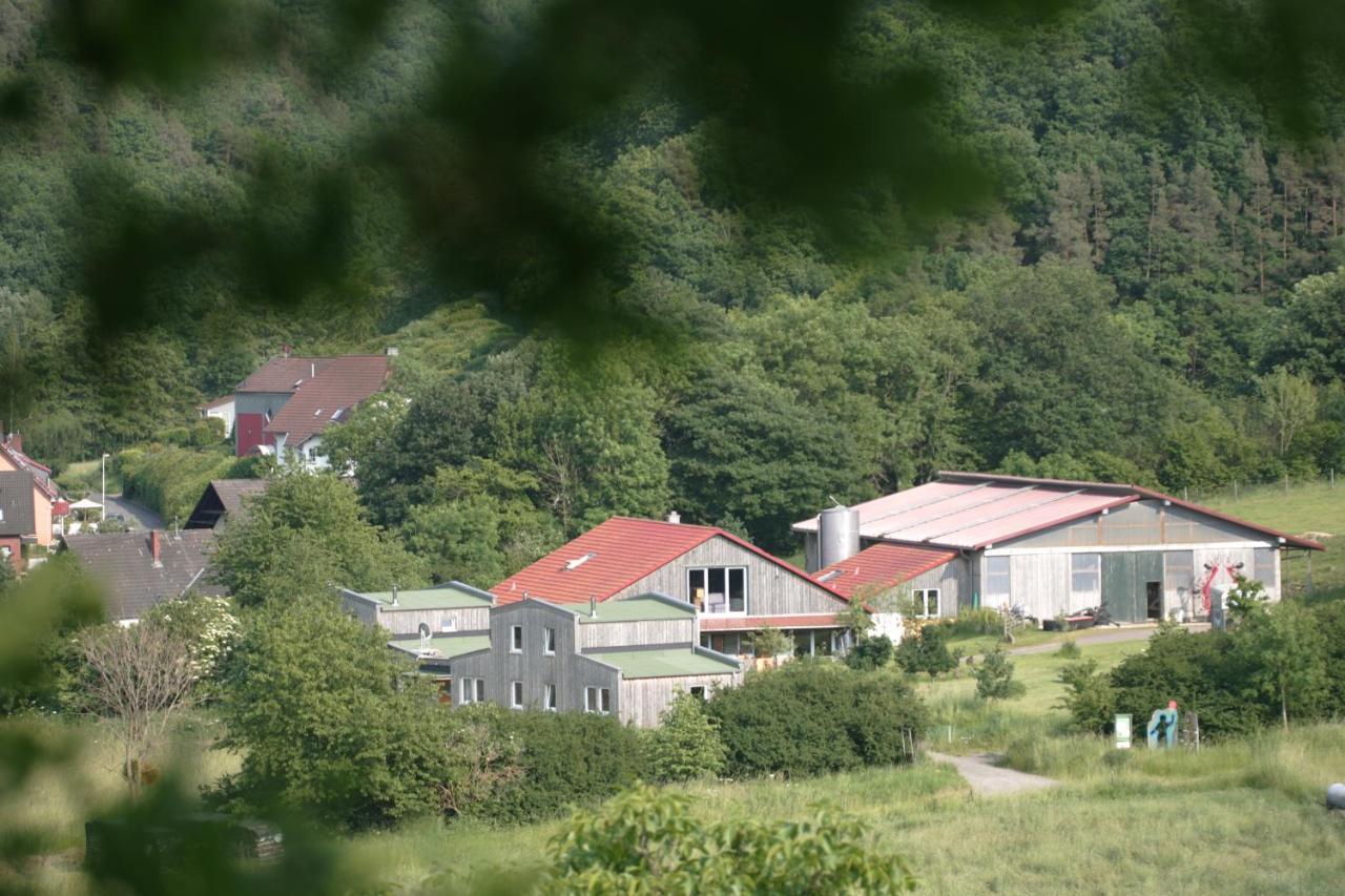 Ferienwohnung Rech Hof Urlaub auf dem Gnadenhof Schalkenbach Exterior foto