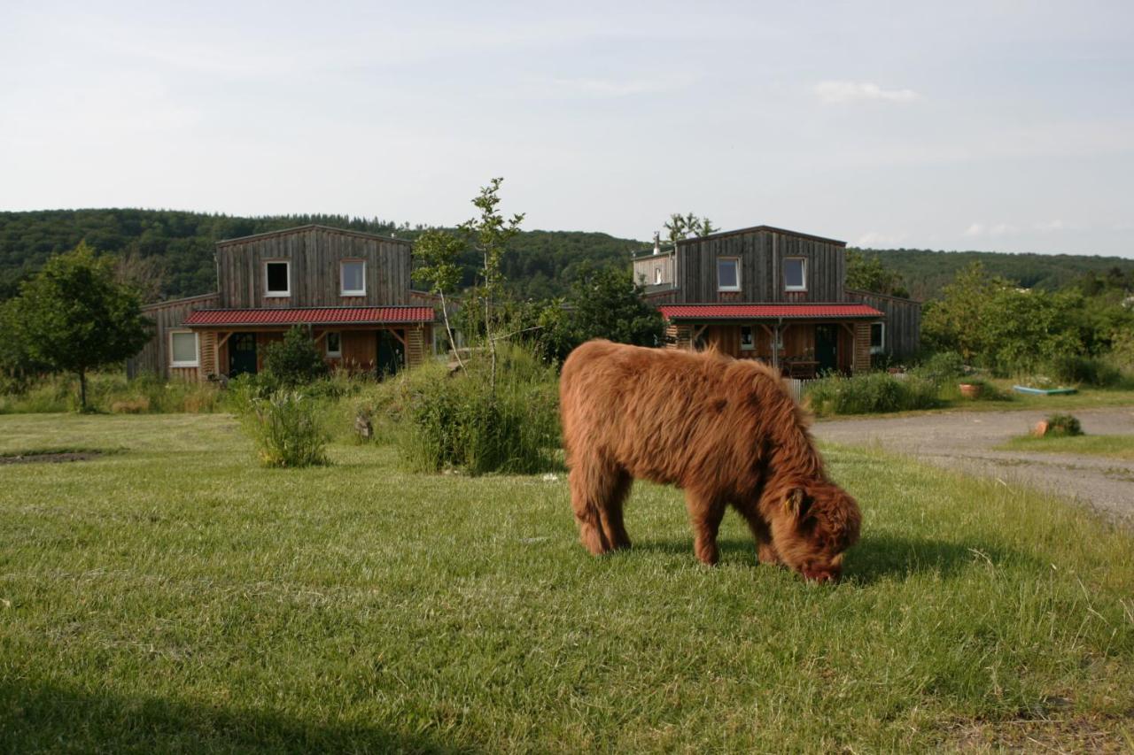 Ferienwohnung Rech Hof Urlaub auf dem Gnadenhof Schalkenbach Exterior foto