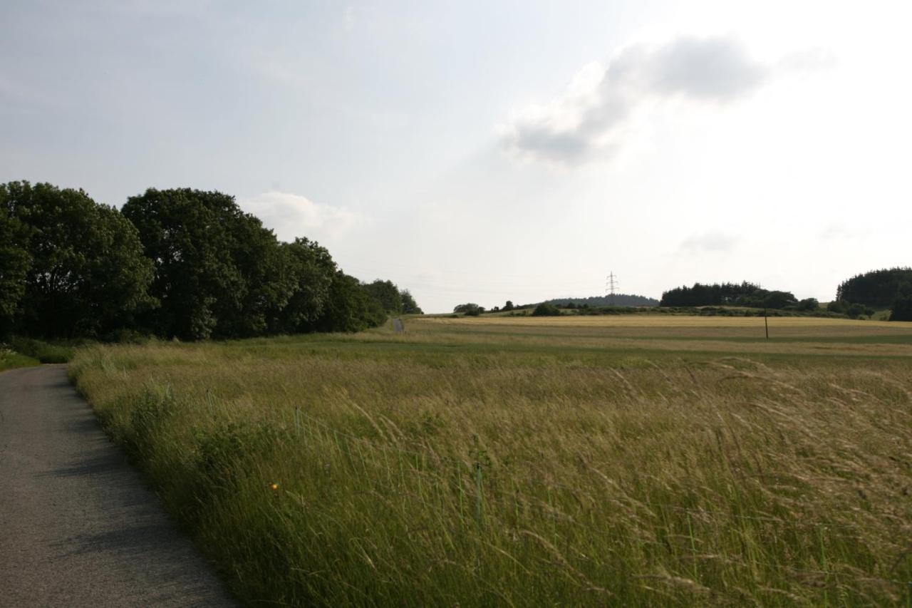 Ferienwohnung Rech Hof Urlaub auf dem Gnadenhof Schalkenbach Exterior foto