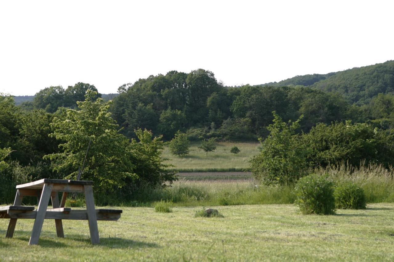 Ferienwohnung Rech Hof Urlaub auf dem Gnadenhof Schalkenbach Exterior foto