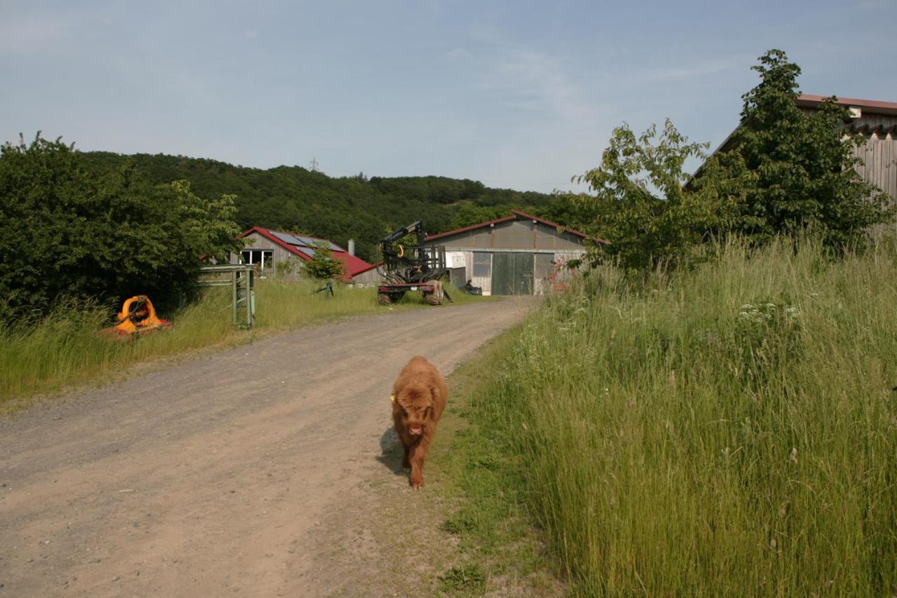 Ferienwohnung Rech Hof Urlaub auf dem Gnadenhof Schalkenbach Exterior foto