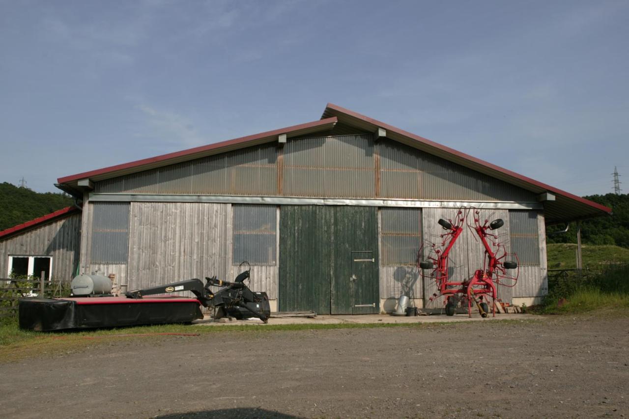 Ferienwohnung Rech Hof Urlaub auf dem Gnadenhof Schalkenbach Exterior foto