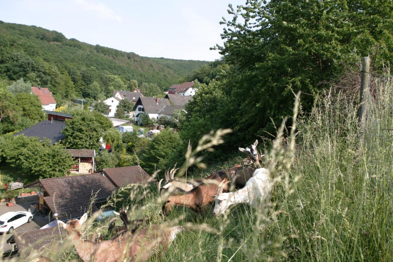 Ferienwohnung Rech Hof Urlaub auf dem Gnadenhof Schalkenbach Exterior foto